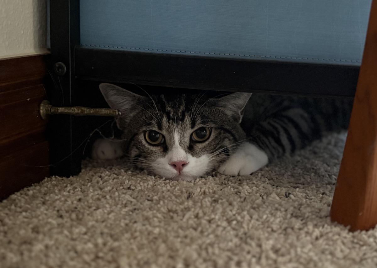 Jerry peering under a bed frame with enormous eyes